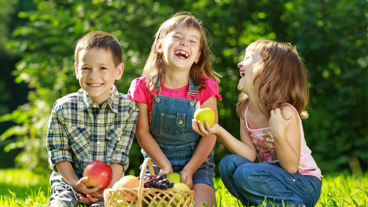 Maisto gaminimas Maisto gaminimas